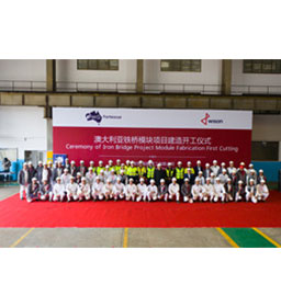 FMG-Iron Bridge Project